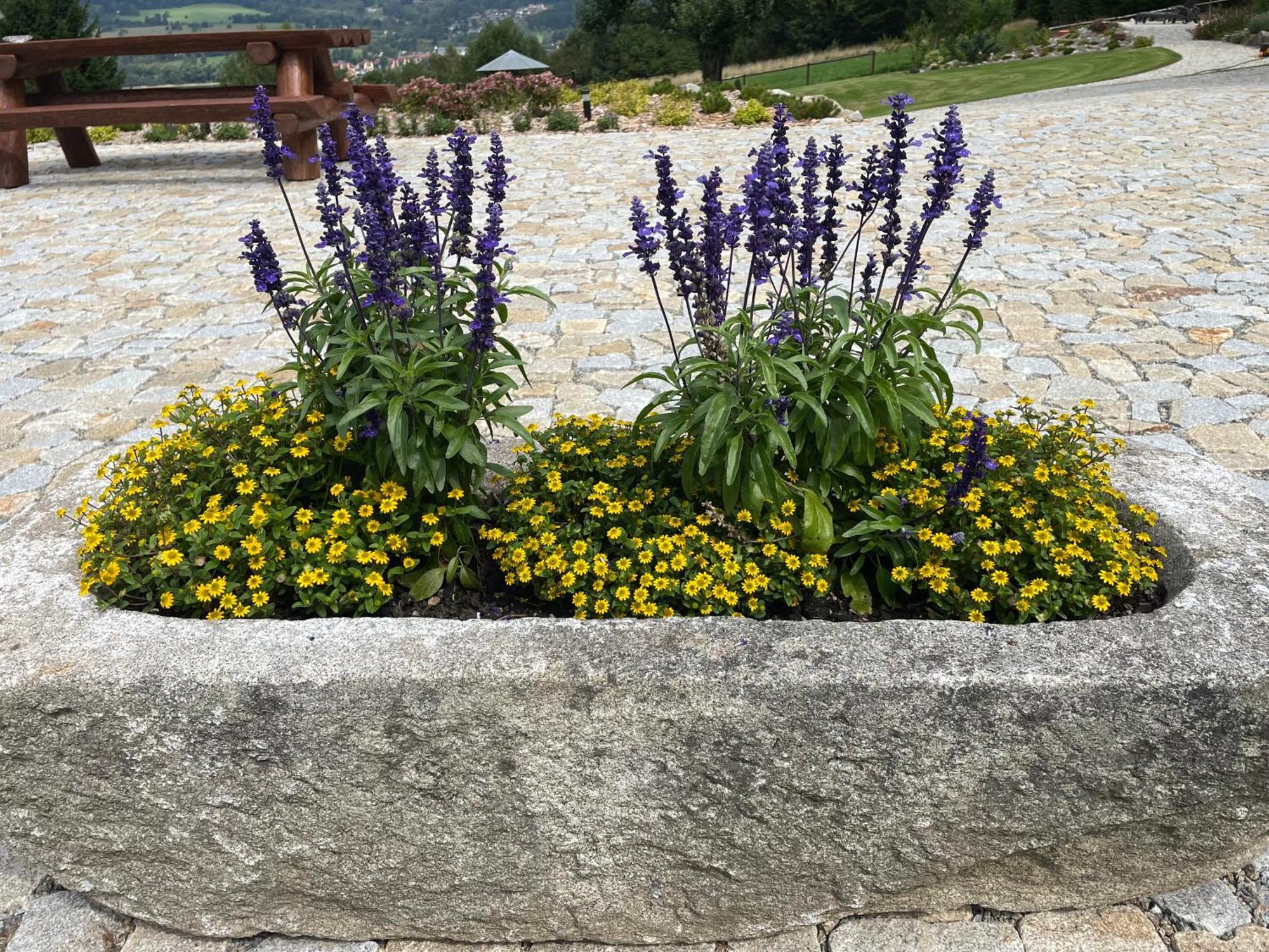 Loučovice Apartmany Hajovna Lipno מראה חיצוני תמונה