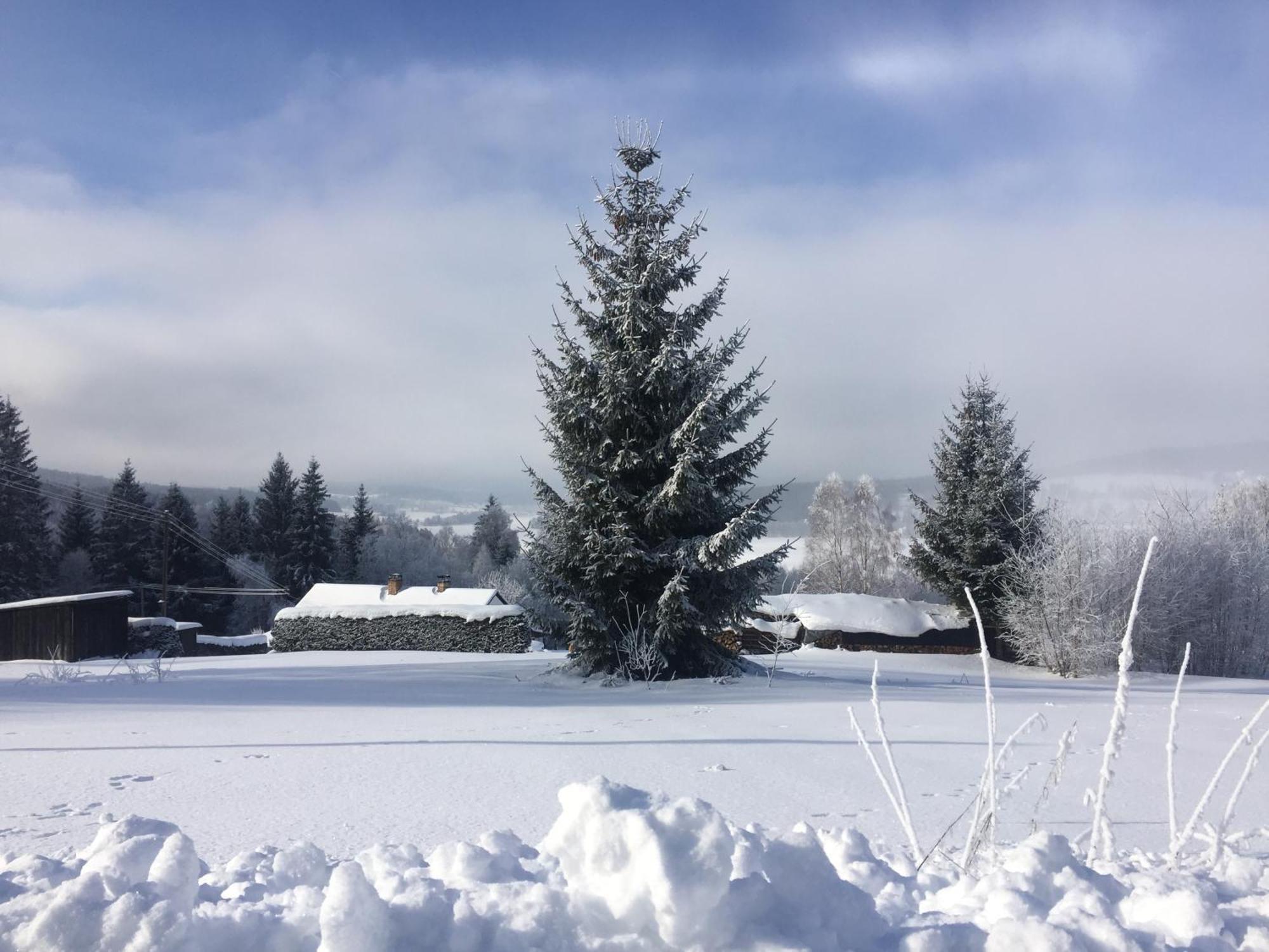 Loučovice Apartmany Hajovna Lipno מראה חיצוני תמונה