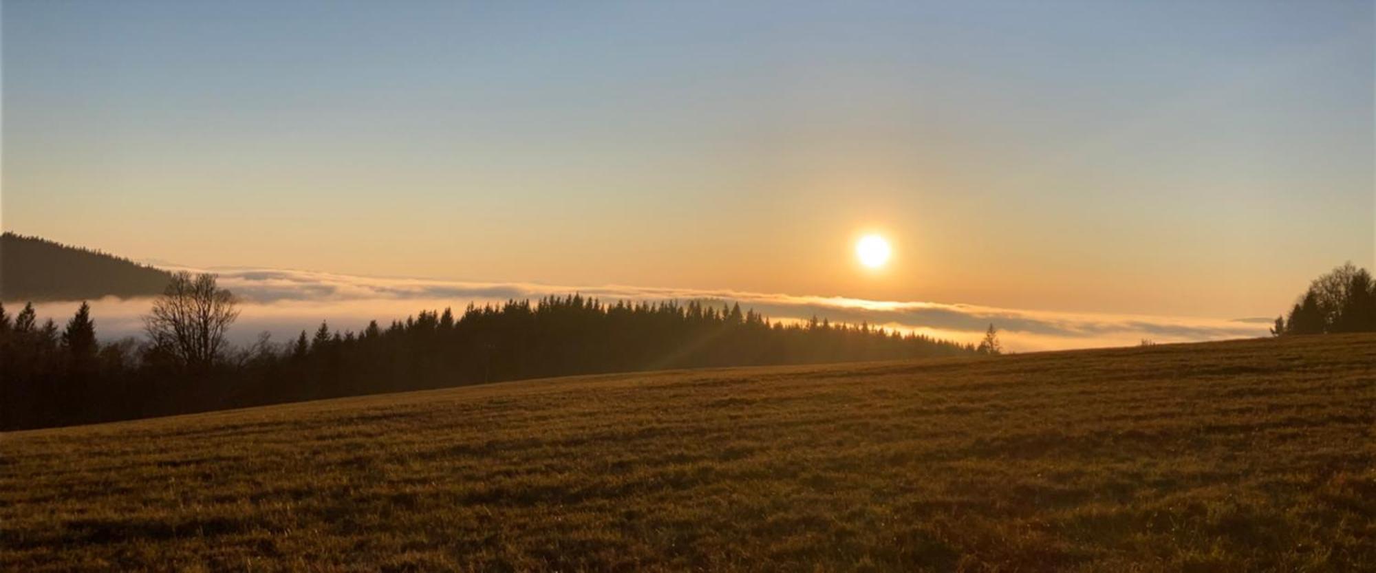 Loučovice Apartmany Hajovna Lipno מראה חיצוני תמונה