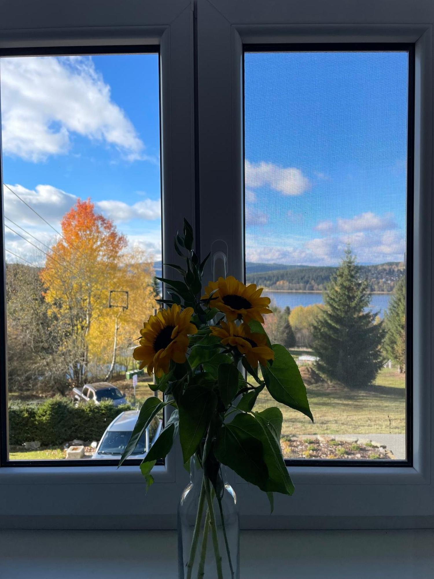 Loučovice Apartmany Hajovna Lipno מראה חיצוני תמונה
